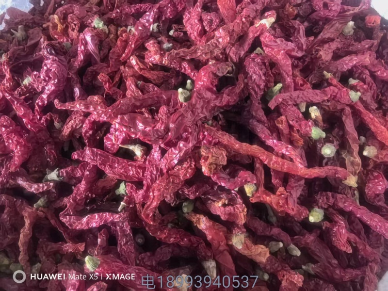 干辣椒剪把线椒