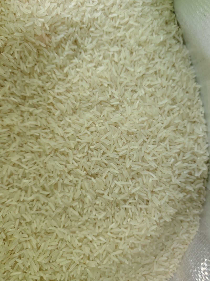 江西鄱阳猫牙米