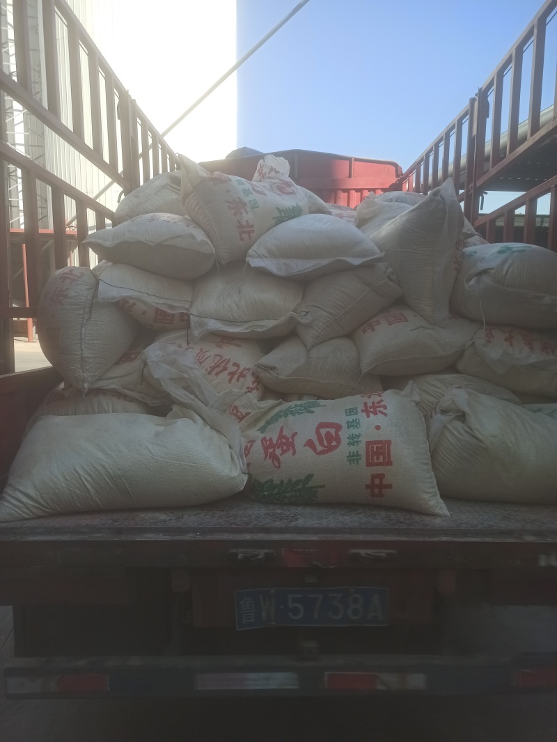 山东下角料细豆面