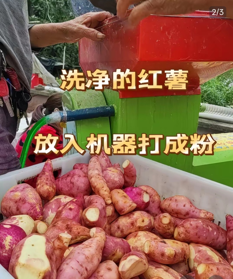 桂林灌阳红薯粉丝