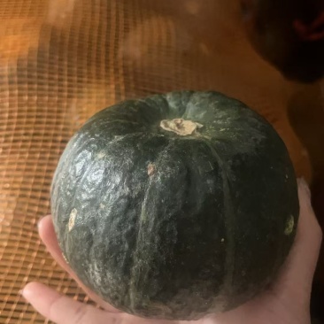 精品贝贝南瓜代发批发