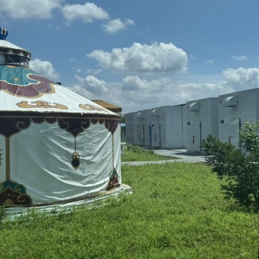 新鲜金耳菌，产地沈阳，下单即发