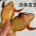 东北鲜活林蛙