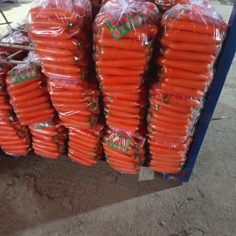 开封本地精品沙地胡萝卜，水洗，带樱，半樱，支持各种包装