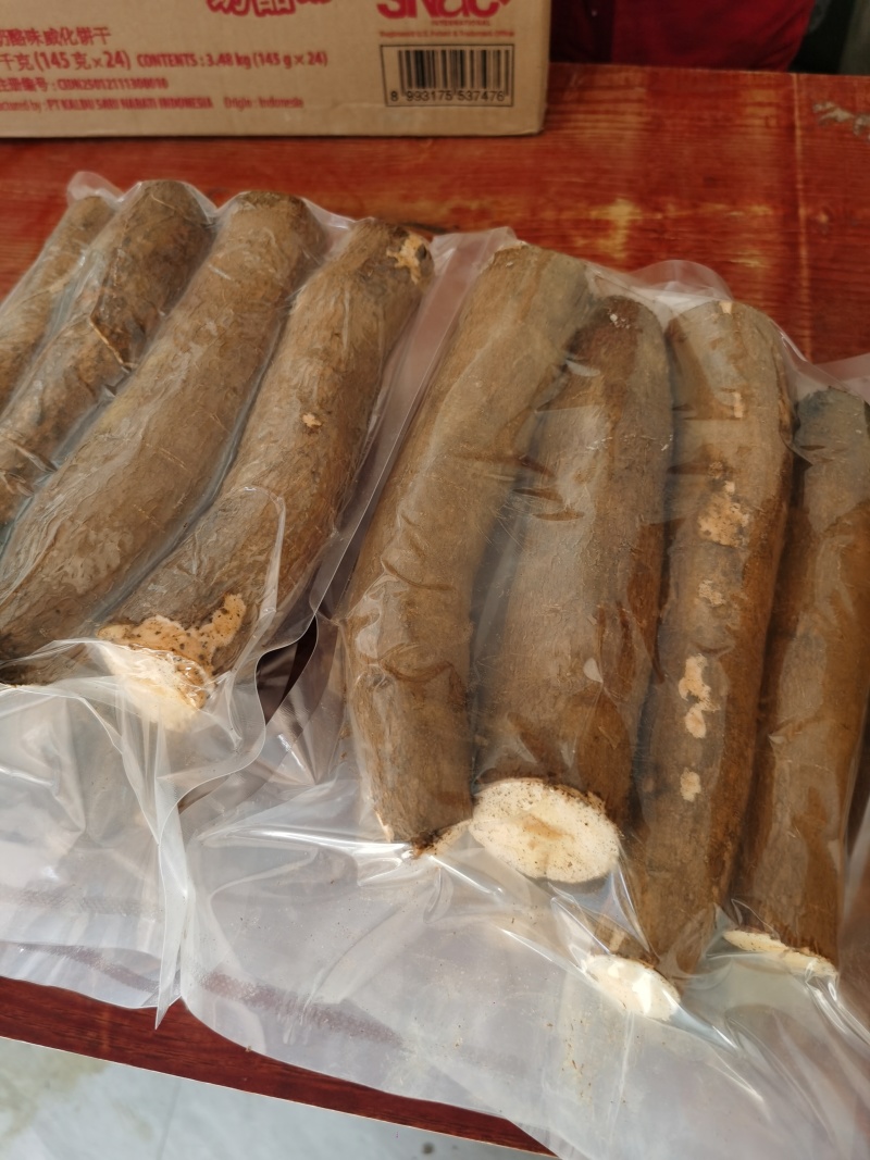 广西华南9号黄心木薯