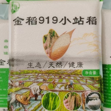 金稻919小站稻自产自销自己家种的大米不抛光不打蜡