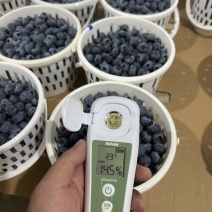 接整成批发，一件代发，现采现发，品种齐全，品质保证