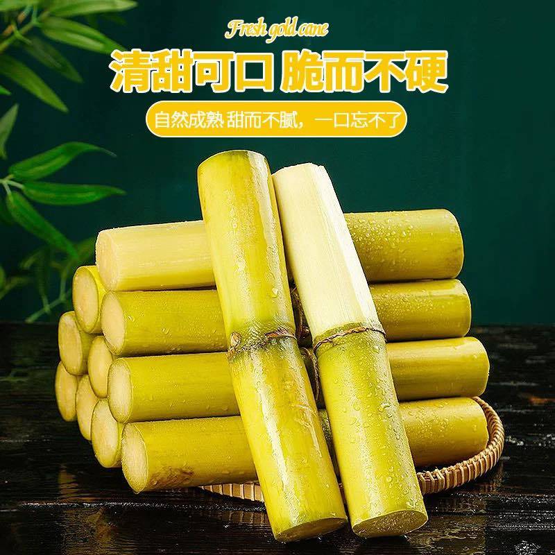 金黄色甘蔗，水分充足，甜度高.