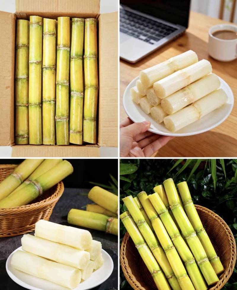 金黄色甘蔗，水分充足，甜度高.