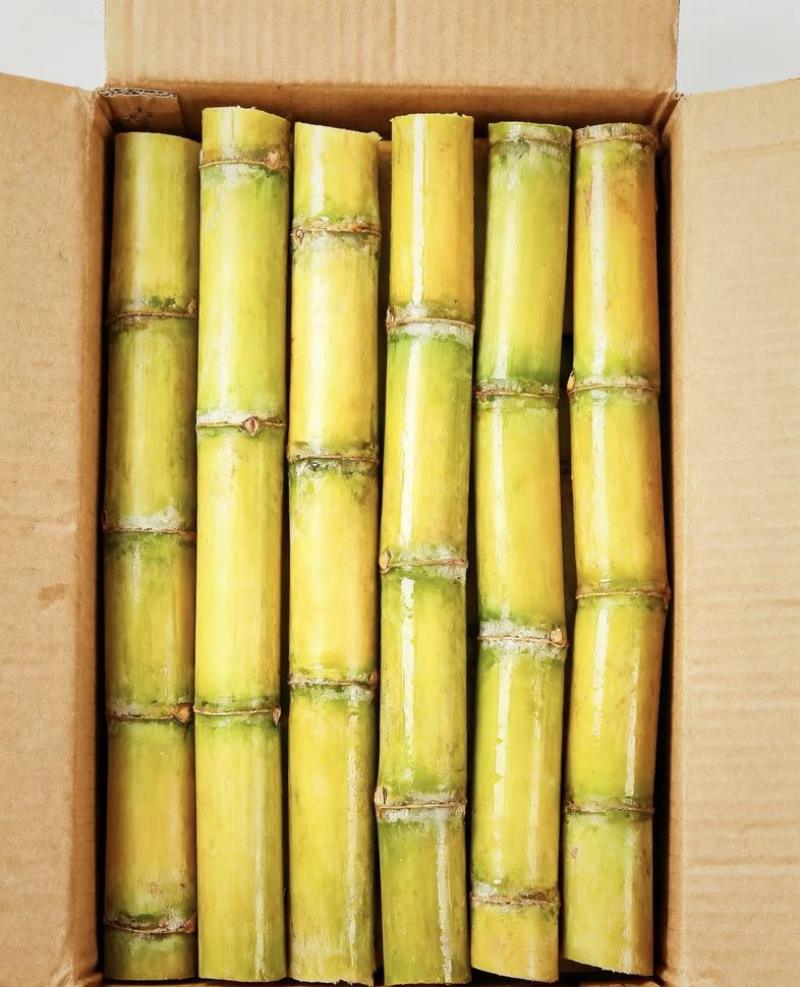 金黄色甘蔗，水分充足，甜度高.