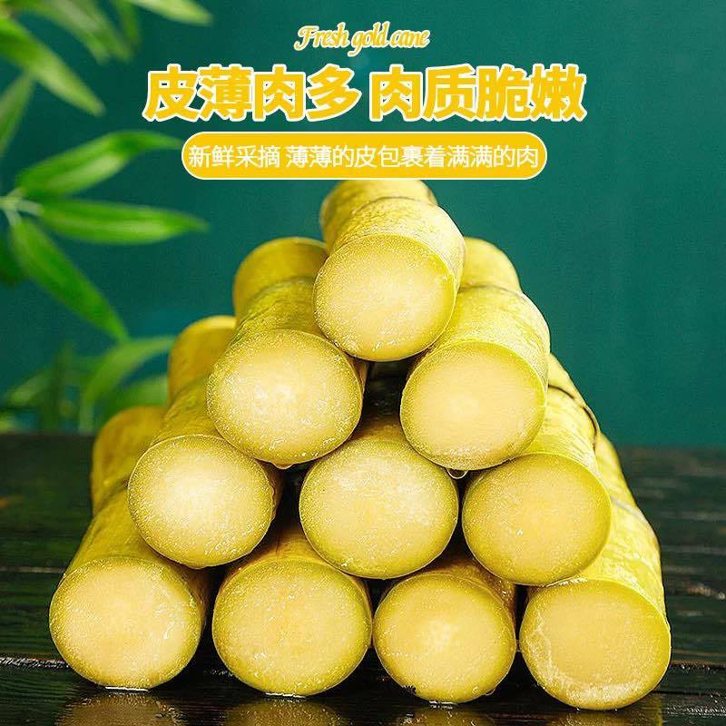 金黄色甘蔗，水分充足，甜度高.