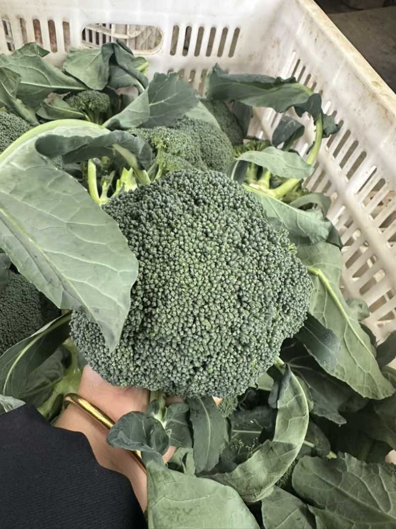西兰花