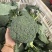 西兰花