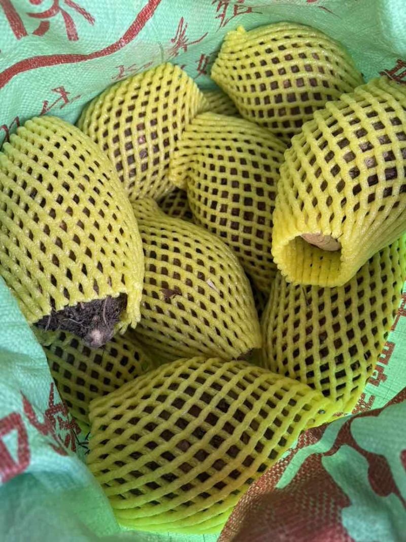 正宗荔浦芋头，粉糯面