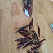 工业辣椒，鲜椒或干椒，辣度达8.5以上