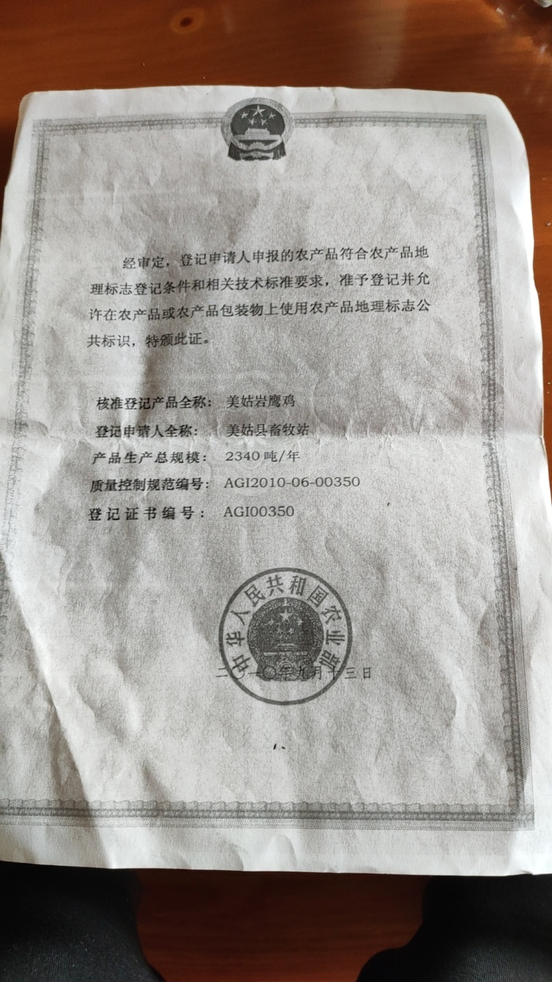大凉山高山上的本地土鸡