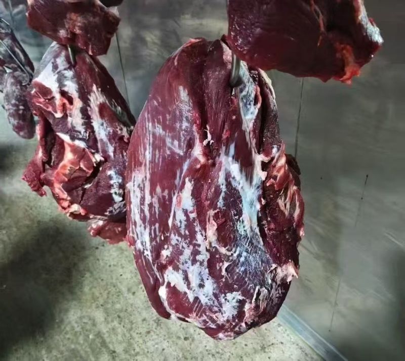 牛后腿肉