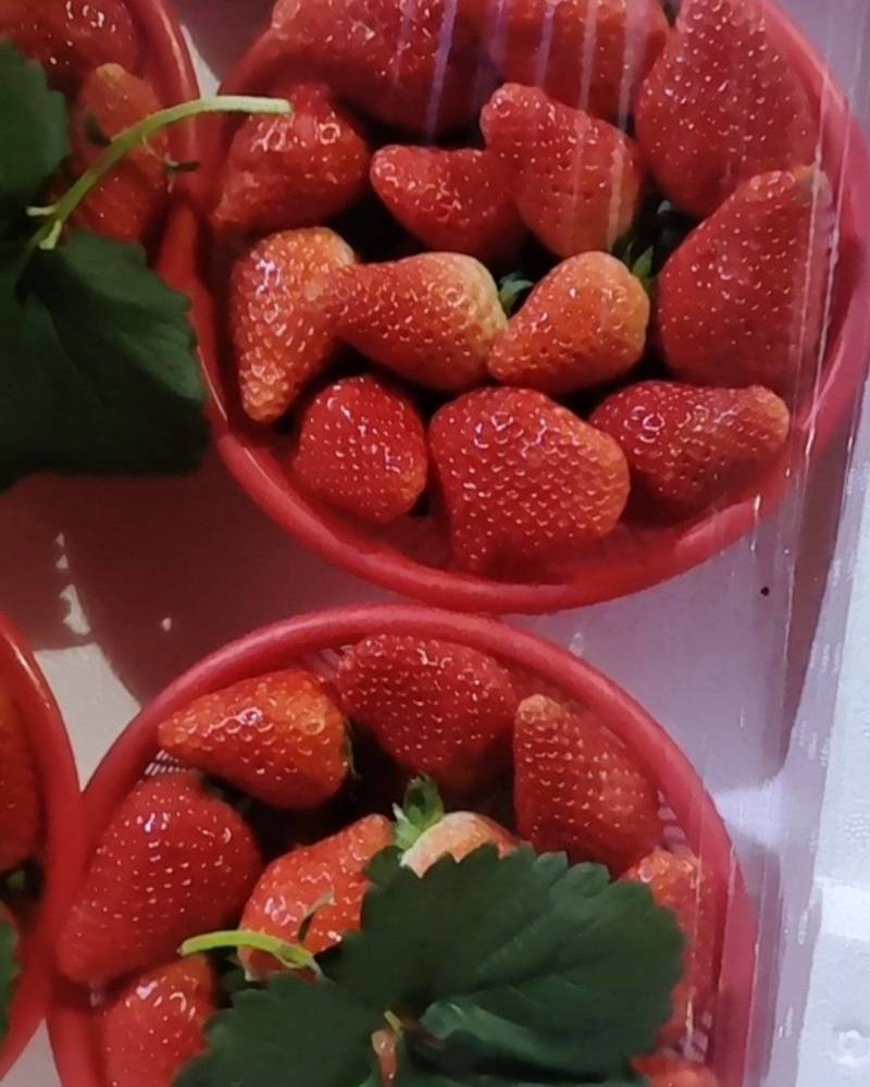 中牟宁玉草莓，贵妃草莓