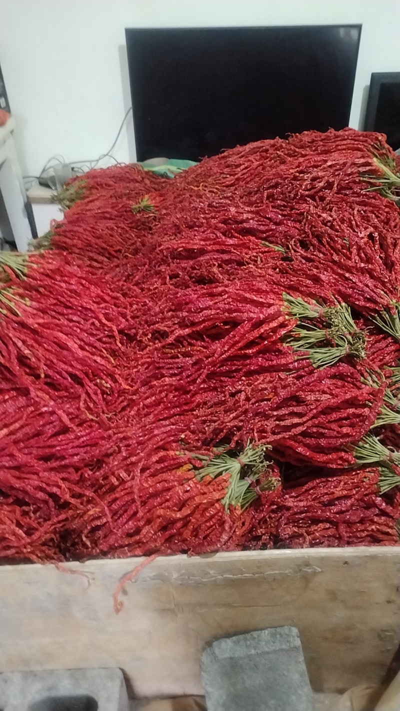 贵州大方邹椒