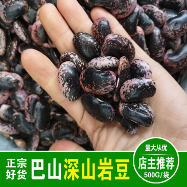 高山岩豆
