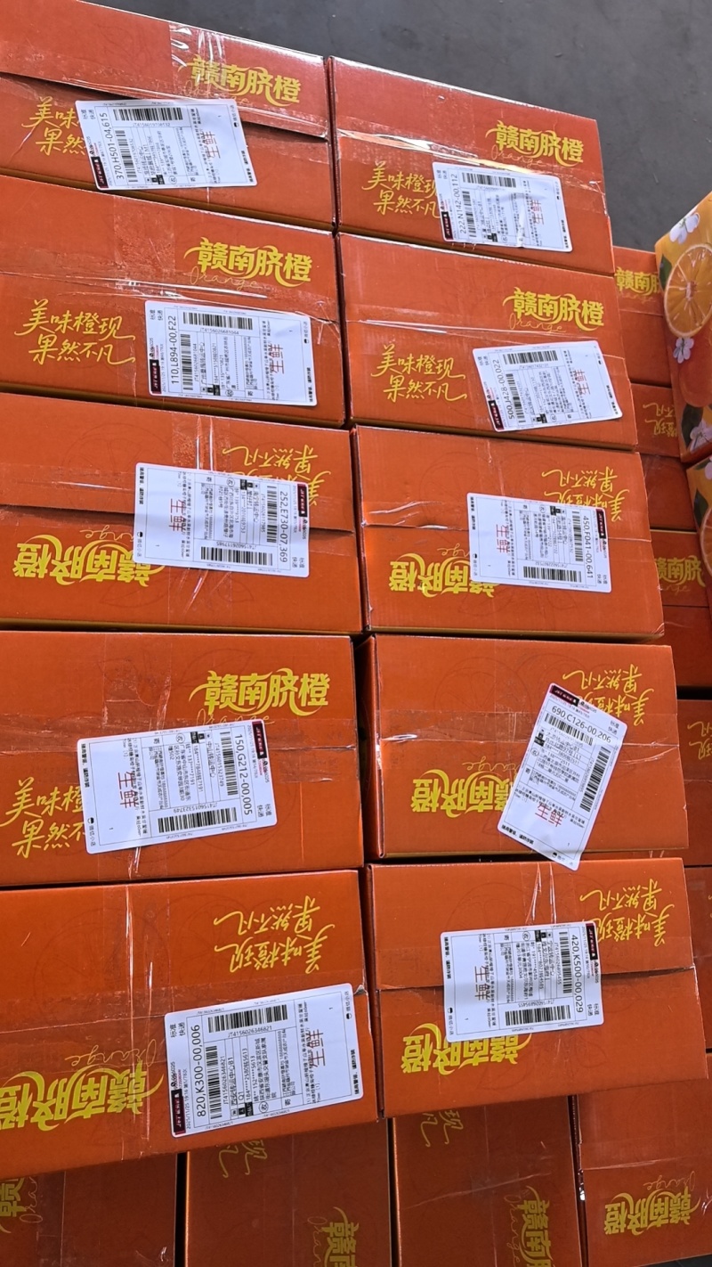 赣南脐橙