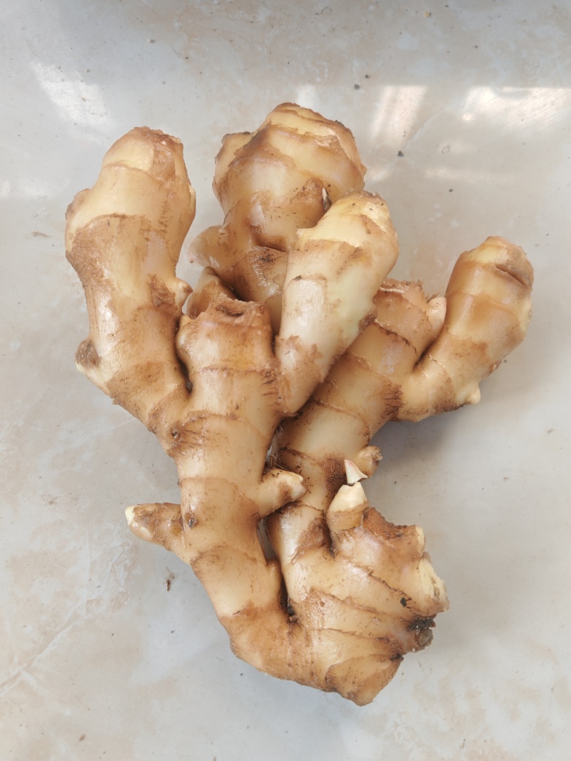 大量出售山东优质大姜货源充足**批发市场商超