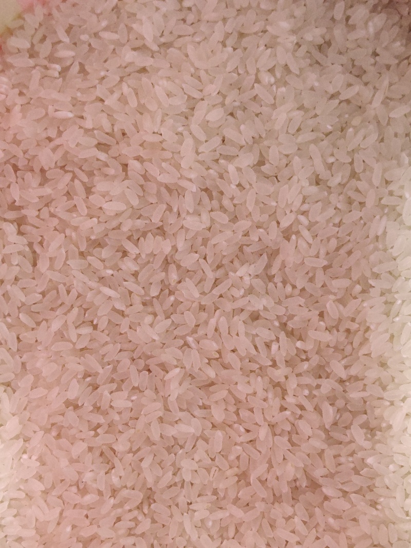 大米