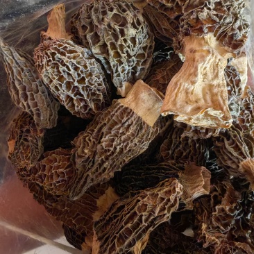 食品