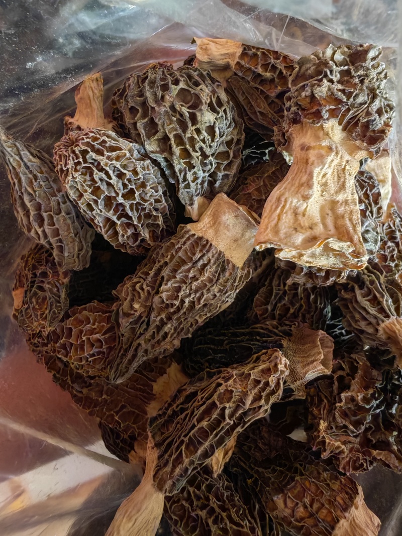 食品