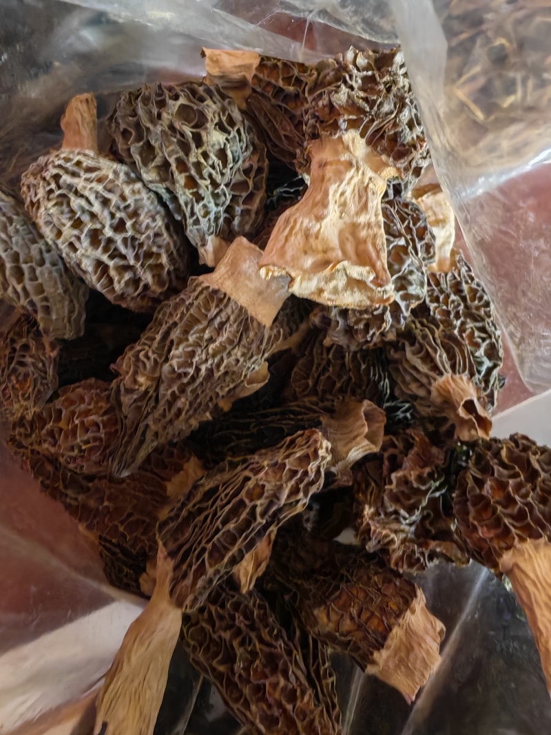 食品