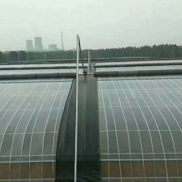 温室大棚
