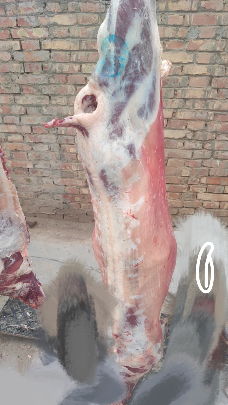 肉质鲜美：吃天然牧草长大，肉质鲜嫩多汁，口感醇厚。