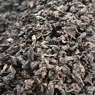 碳烤铁观音