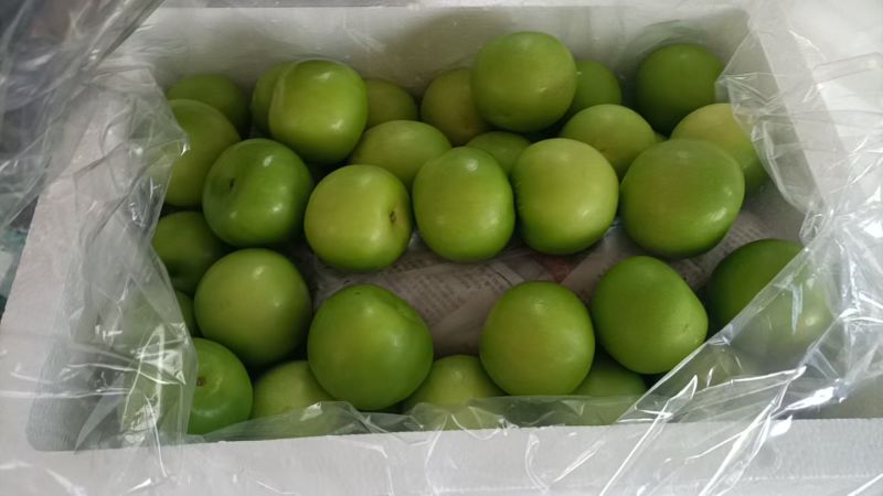 福建台湾牛奶枣