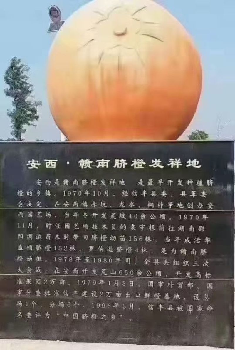 赣南脐橙