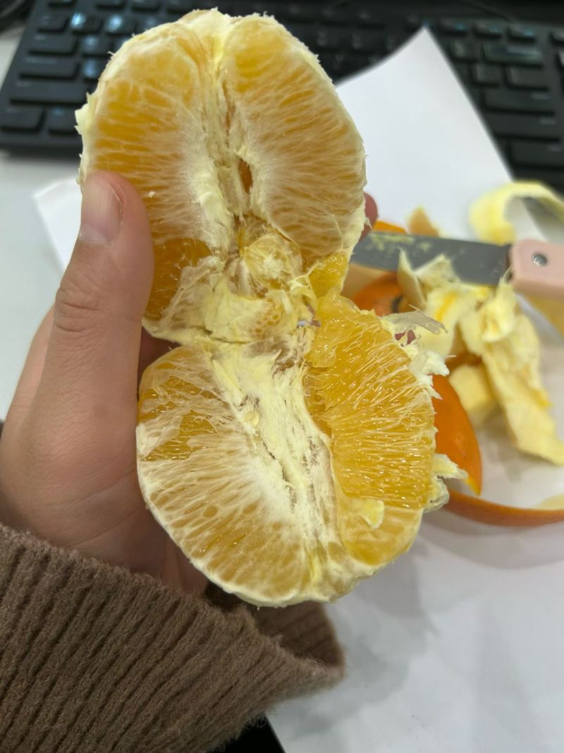赣南脐橙