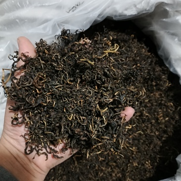 赶黄草