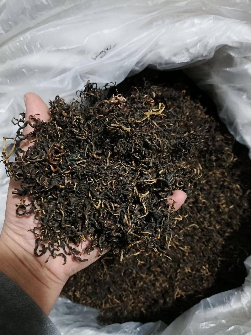 赶黄草