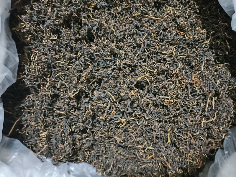 赶黄草