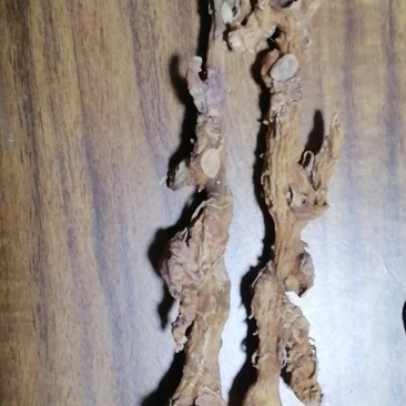 重庆合川黄精条姜精品