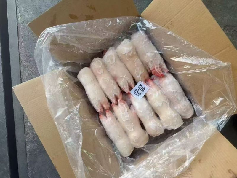 源宏纯干猪手，微调理猪手