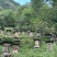 神农架林区红举野生百花蜂蜜