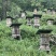 神农架林区红举野生百花蜂蜜