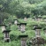 神农架林区红举野生百花蜂蜜
