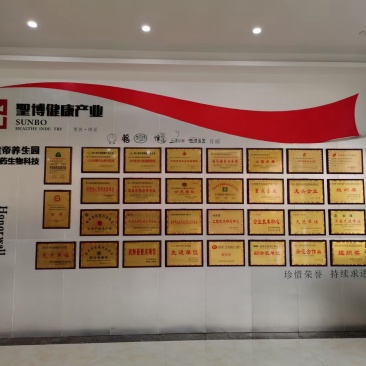 铁棍山药分系列食品