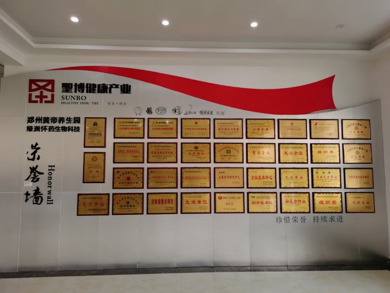 铁棍山药分系列食品