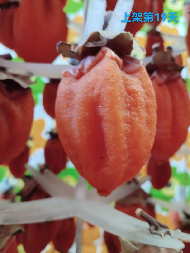 陕西富平柿饼
