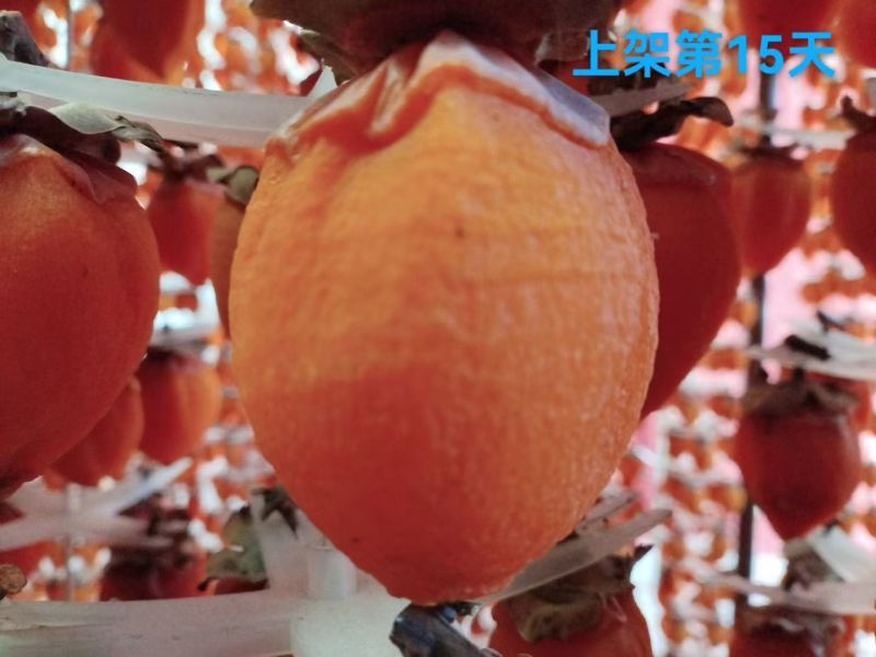 陕西富平柿饼