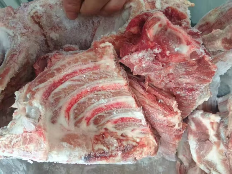 国产胫骨25年新货临沂发货。大量有货