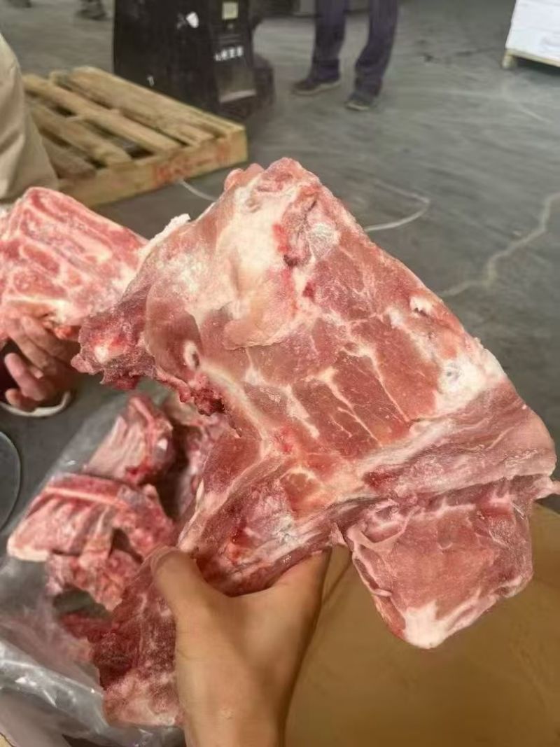 国产胫骨25年新货临沂发货。大量有货